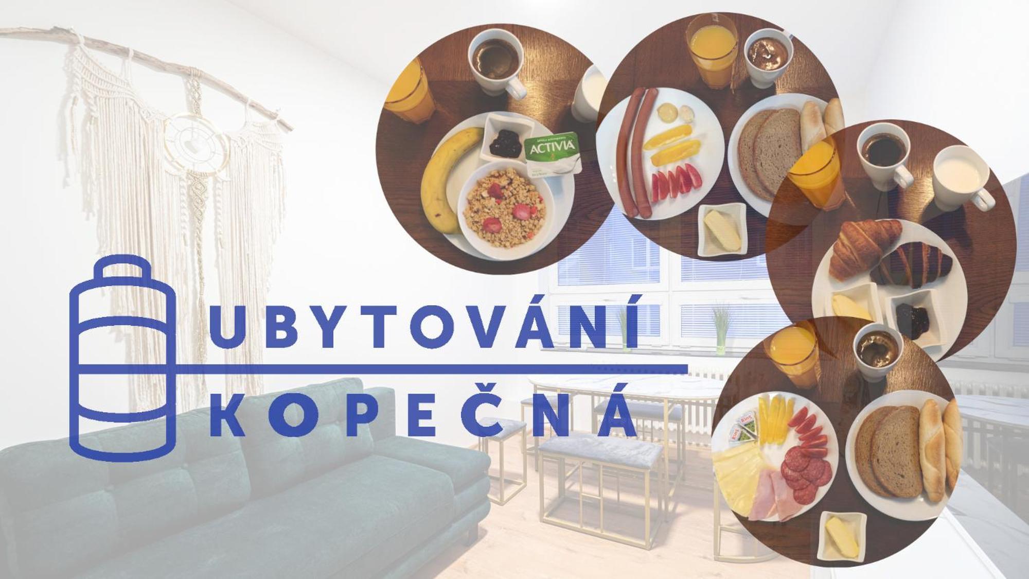 Apartments Kopecna With Parking Брно Екстер'єр фото